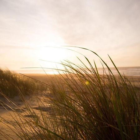 Grosse Nordseewelle Ohne Hund Norden Zewnętrze zdjęcie